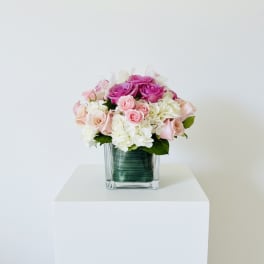 Pink and white roses arranged in a square glass vase