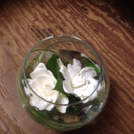 White flowers arranged in a round glass bowl with stones