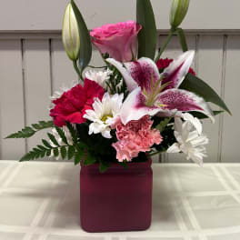 Pink Lilly Celebration