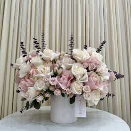 Blush & Bloom