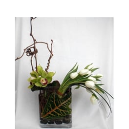 White tulips and green orchids in a square glass vase