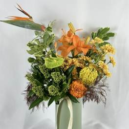 Tropicana