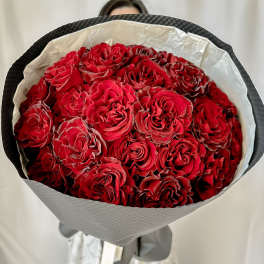 Red Hearts