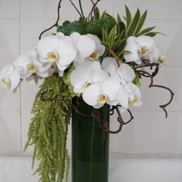 White orchids arranged in a tall green vase with trailing greenery