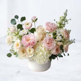 Cloudberry Chantilly