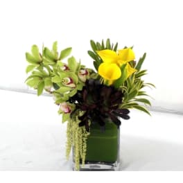 Yellow calla lilies and green orchids in a square glass vase