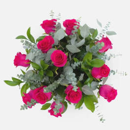 1 Dozen Hot Pink Roses in a Bouquet
