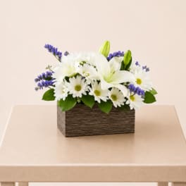 White Lily & Daisy Harmony Box