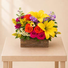Garden Delight | Designer Choice