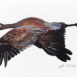 Painting of a flying crane on a white background
