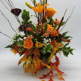 Burnt Orange Meadow