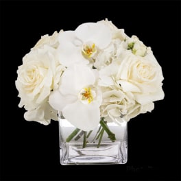Linen by BloomNation™
