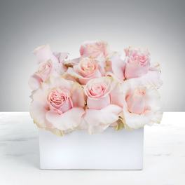 Low arrangement of pale pink roses clustered in a white rectangular vase