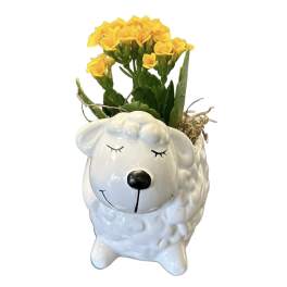 Yellow flowers arranged in a white sheep-shaped ceramic planter