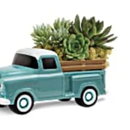 Toy pickup truck holding a succulent planter