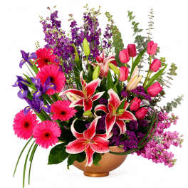Magnificent Magenta