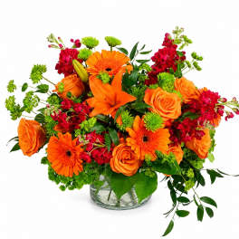Orange Explosion