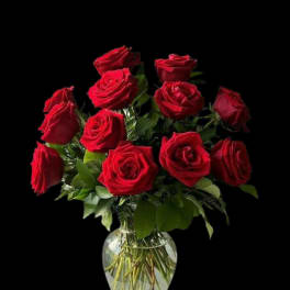 Classic Dozen Red