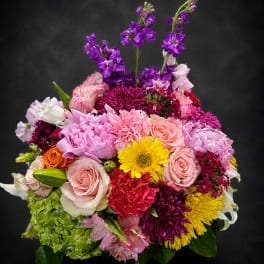 Diva’s Delight