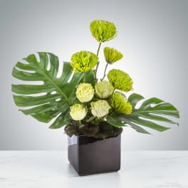 Modern green and white floral arrangement with large leaves in a black cube vase