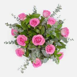 Pink roses arranged with eucalyptus on a white background