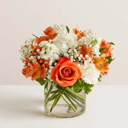 Loving Sentiments™ Peach, Orange & White