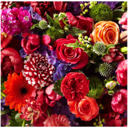 Mixed bouquet of red, orange, pink, and purple flowers