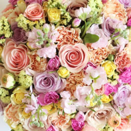 Pastel Designer's Choice (image for color reference only Actual flowers chosen by designer)