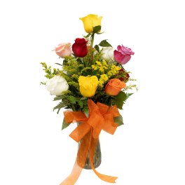 1 DOZEN MULTI COLORED ROSE ARRANGEMENT