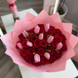 Tulips Love