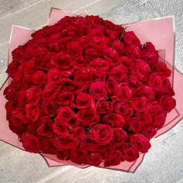 100 Long Stem Roses