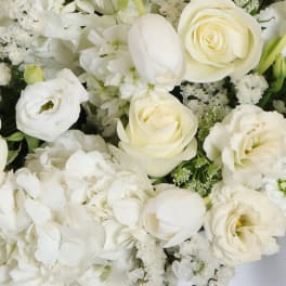 White roses and hydrangeas arranged in a dense bouquet