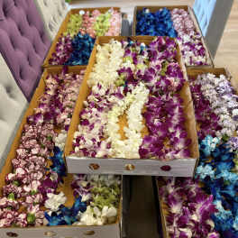 Boxes filled with purple, white, blue, and pink orchid blooms