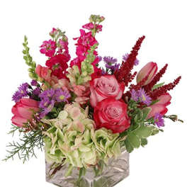 Velvet and Vine Arrangement
