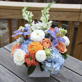 Morning Haze Arrangement