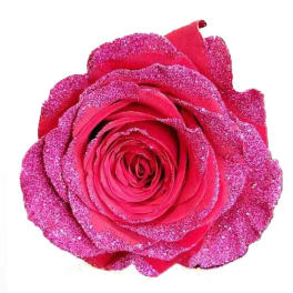 Single pink glitter-covered rose on a white background