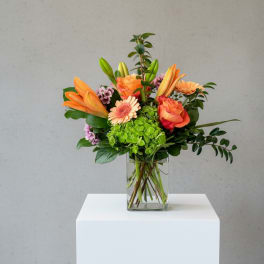 Blooms of The Season