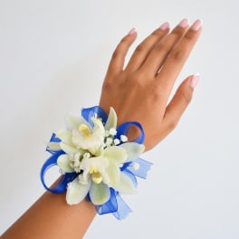 White orchid wrist corsage with blue ribbon on a hand