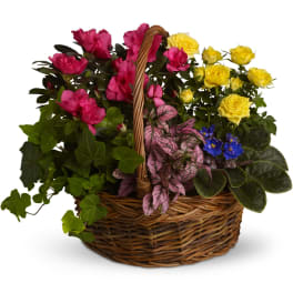 Blooming Garden Basket by Teleflora