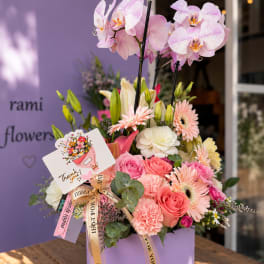 Orchid & Garden Bloom Box