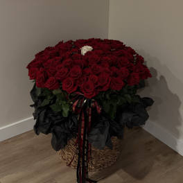 101 Red Roses in an XL Basket