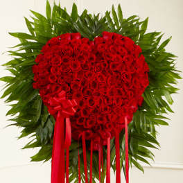 Red Rose Bleeding Heart