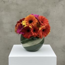 Etowah Daisy Bowl