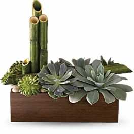 Succulent arrangement in a rectangular wooden planter with bamboo accents