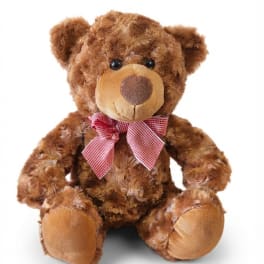 Brown teddy bear with a pink checkered bow