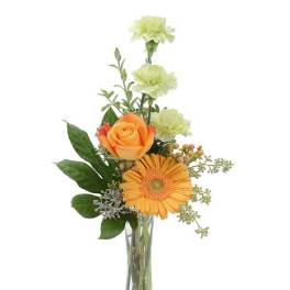 Sunrise Sherbert Arrangement