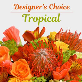 Montclair Flowers and Gifts Designer's Choice Tropical