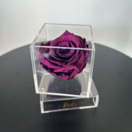 Petit Forever Boîte (Dark Magenta)