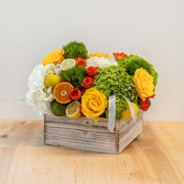 The STEMS Citrus Splash
