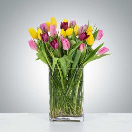 Tall rectangular glass vase filled with yellow, pink, and purple tulips